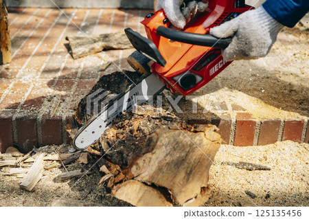 Cutting timber with a chainsaw 125135456