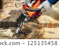 Cutting timber with a chainsaw 125135458