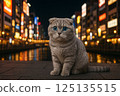 Scottish Fold kitten in the night view of Dotonbori, Osaka 125135515