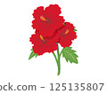 紅芙蓉的插圖 125135807