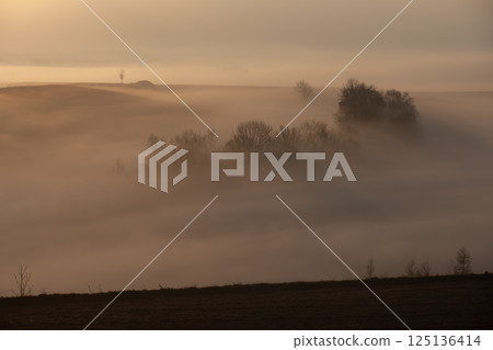 Morning mist ground 125136414