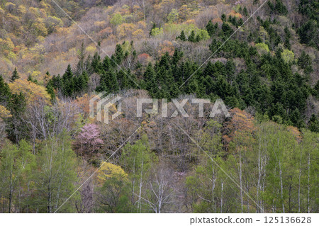 訂山溪的翠綠山巒 訂山溪的翠綠山巒 125136628