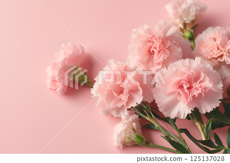 可愛的粉紅色康乃馨 可愛的粉紅色康乃馨 125137028