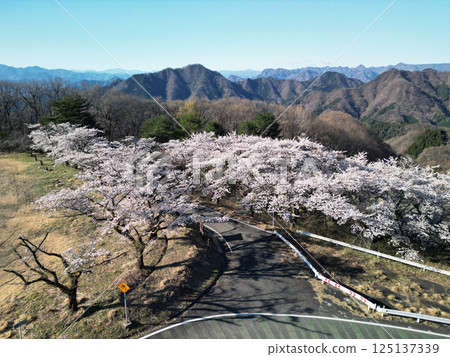 妙義山和櫻花村 125137339