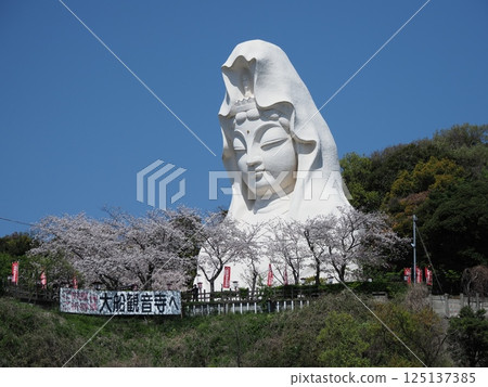 櫻桃樹 櫻桃樹 125137385