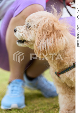 Dog enjoying jogging with owner Dog enjoying jogging with owner 125137502