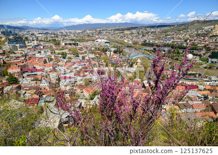 Cityscape aerial panoramic view of Tbilisi, capital of Georgia 125137625