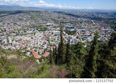 Cityscape view of Tbilisi, the capital of Georgia 125137702