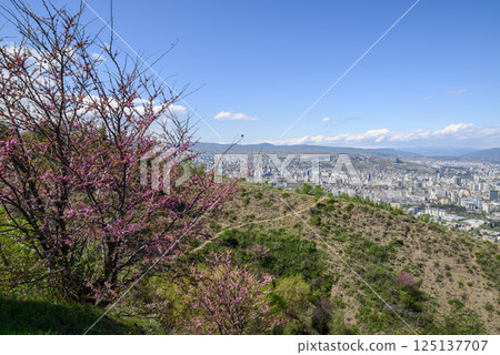 Cityscape view of Tbilisi, the capital of Georgia 125137707