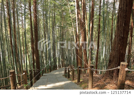 滋賀縣：日向山從山腳到山頂的石階 125137714