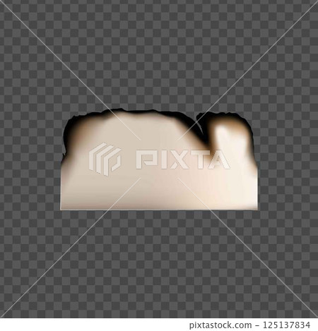 Vector illustration of a burnt piece of paper with charred torn edges. 125137834