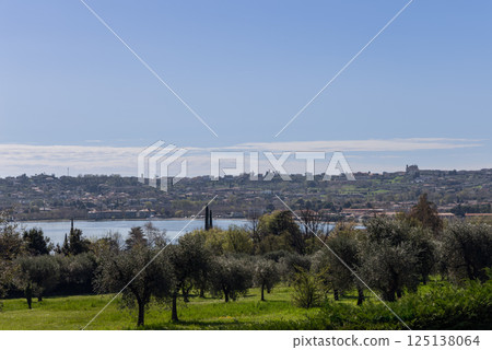 Olive grove near shore of Lake Garda in Italy with panoramic view of town San Felice 125138064