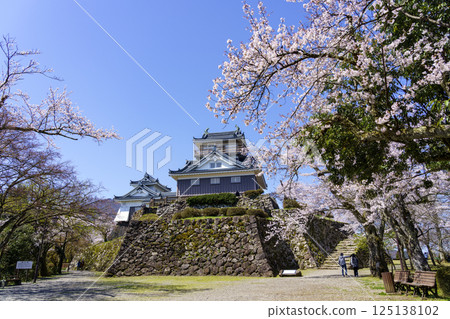 Fukui Prefecture's famous cherry blossom spot "Echizen Ono Castle" Fukui Prefecture's famous cherry blossom spot "Echizen Ono Castle" 125138102