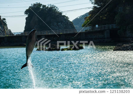 Bottlenose dolphin show at Shimoda Aquarium Bottlenose dolphin show at Shimoda Aquarium 125138203