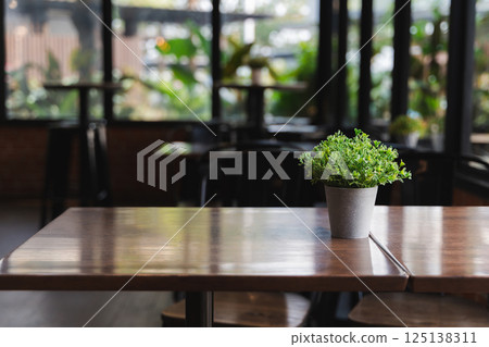 A potted plant sits on a wooden table in a restaurant. The plant is green and he is a fake A potted plant sits on a wooden table in a restaurant. The plant is green and he is a fake 125138311