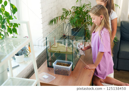 Two girls cleaning a terrarium with plants and decorative elements in a bright room Two girls cleaning a terrarium with plants and decorative elements in a bright room 125138450