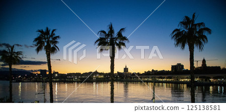 palm trees at sunset in Malaga,Spain,Europe palm trees at sunset in Malaga,Spain,Europe 125138581