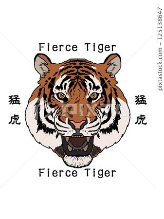 A tiger A tiger 125138647