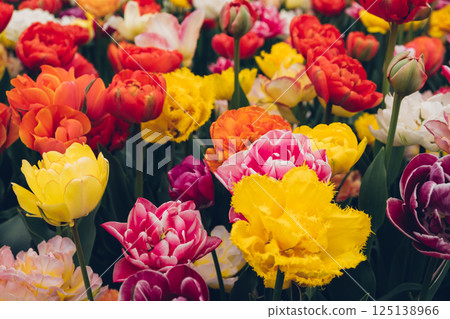 Blooming flowers. 125138966