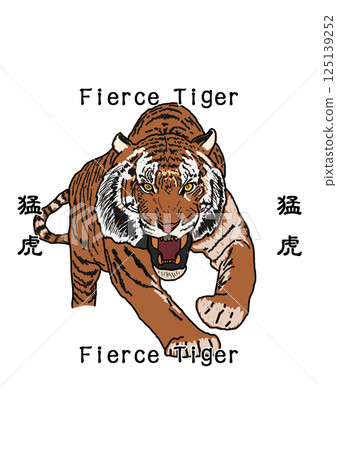 A tiger A tiger 125139252