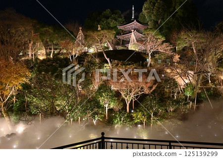 Night view of Chinzanso 125139299