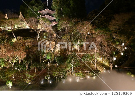 Night view of Chinzanso 125139309