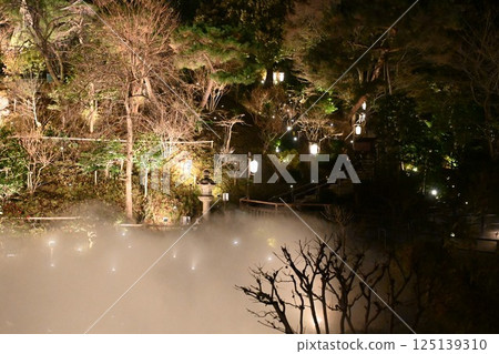 Night view of Chinzanso Night view of Chinzanso 125139310