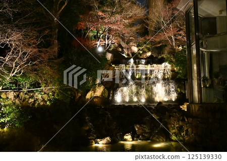 Night view of Chinzanso Night view of Chinzanso 125139330