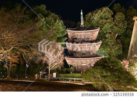 Night view of Chinzanso 125139338