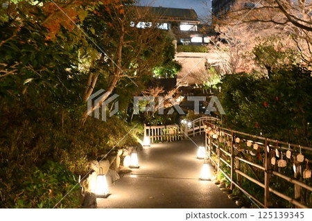 椿山莊的夜景 椿山莊的夜景 125139345