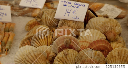 Fresh scallops on ice at the fish market waiting for customers 125139655