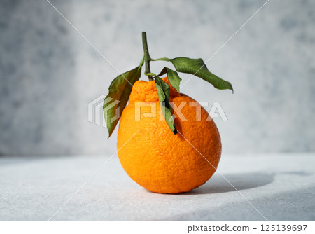 Ripe and juicy orange of the Dekopon variety with leaves on a light textured background 125139697