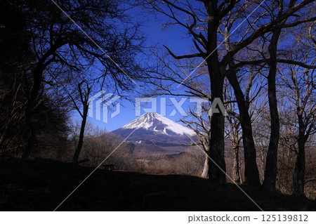 Aozora Fuji Aozora Fuji 125139812
