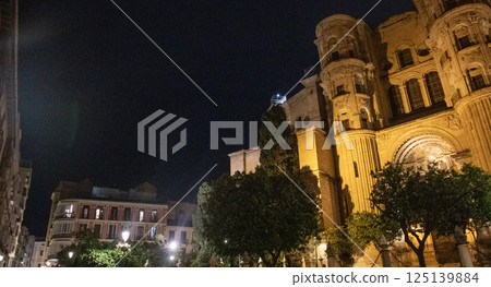 Cathedral of Malaga. Andalusia, Spain 125139884