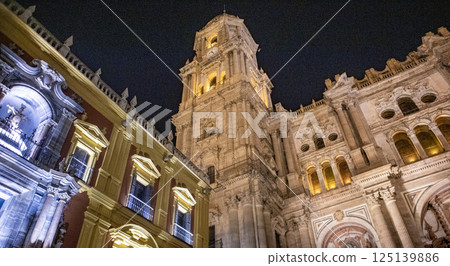 Cathedral of Malaga. Andalusia, Spain 125139886