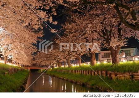 “埼玉縣”川越和Shinkawagishigawa的夜櫻花 125140353