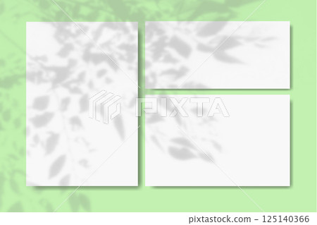 Natural light casts shadows from the leaves and branches of the tree on horizontal and vertical sheets of white textured paper against a green wall. Mockup Natural light casts shadows from the leaves and branches of the tree on horizontal and vertical sheets of white textured paper against a green wall. Mockup 125140366