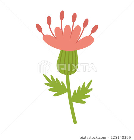 Thistle, a prickly honey plant, with a pink flower. Vector clipart. Cartoon illustration isolated. 125140399