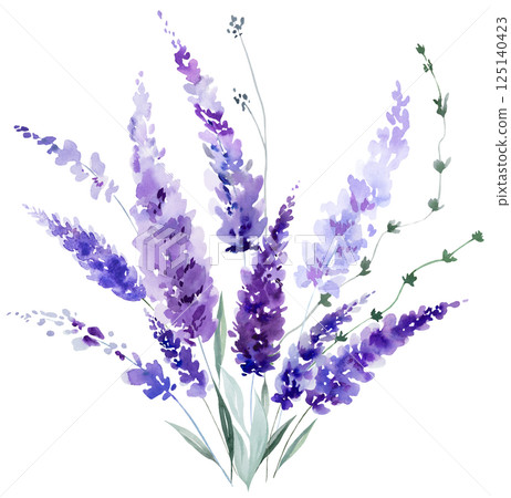 Bouquet made of watercolor lavender flowers. Purple wildflowers wedding isolated illustration Bouquet made of watercolor lavender flowers. Purple wildflowers wedding isolated illustration 125140423