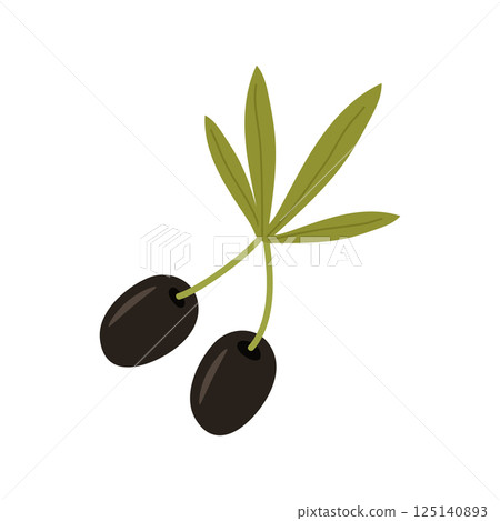 A twig with ripe olives, black fruits of the oil tree and green leaves. The vector illustration is isolated. Clipart for design, decor 125140893