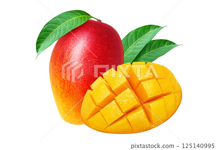Mango illustration realistic white background Mango illustration realistic white background 125140995