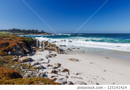 Coastal landscape in California Coastal landscape in California 125141424