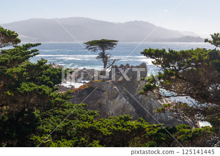Coastal landscape in California Coastal landscape in California 125141445
