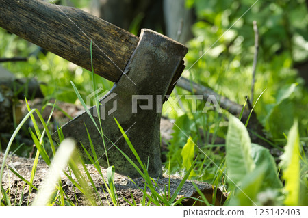 Close-up of an axe embedded in wood surrounded by green grass 125142403
