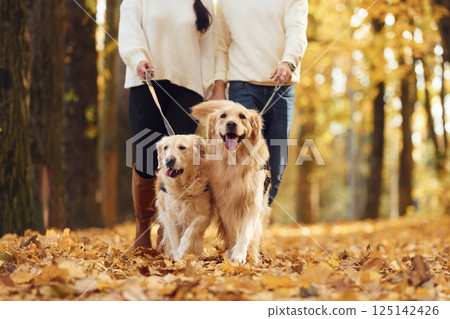Lovely couple are on the walk in autumn park with two dogs 125142426