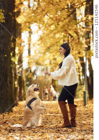 Doing tricks. Woman is on the walk with her dog in the autumn forest at daytime Doing tricks. Woman is on the walk with her dog in the autumn forest at daytime 125142546