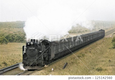 A Showa-era steam locomotive brought back to life in color: A coal freight train hurtles along the Muroran Main Line 125142560