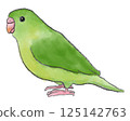 綠鸚鵡雀 125142763