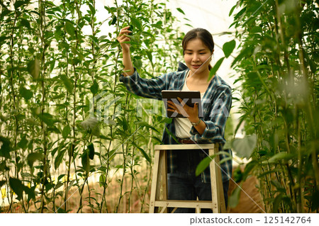 Young woman using digital tablet while inspecting green bell pepper plants in a greenhouse 125142764