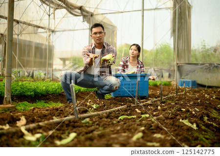 Farmer feeling defeated over poor harvest. Crop failure and agricultural crisis concept 125142775